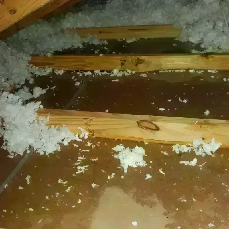 Attic Water Damage in Richmond, NH