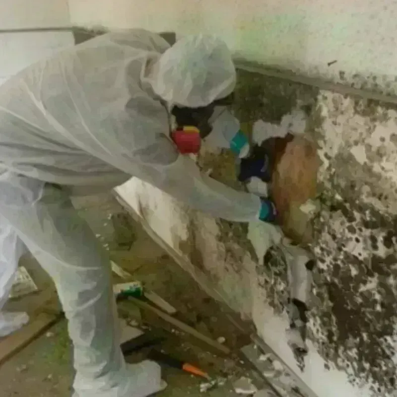 Mold Remediation and Removal in Richmond, NH